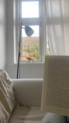 Jennifer Schluifelder