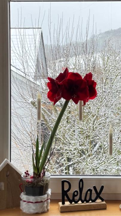 Liene Oberwahrenbrock