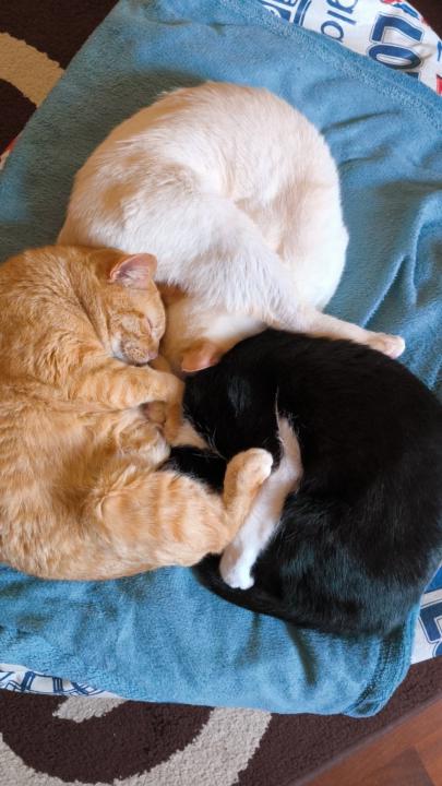 Cristina Martínez Fontán