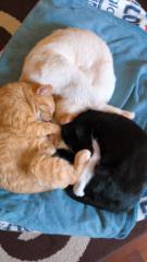 Cristina Martínez Fontán