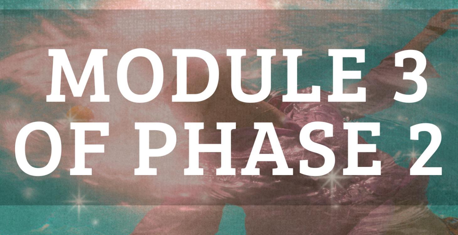 Module 3 of Phase 2