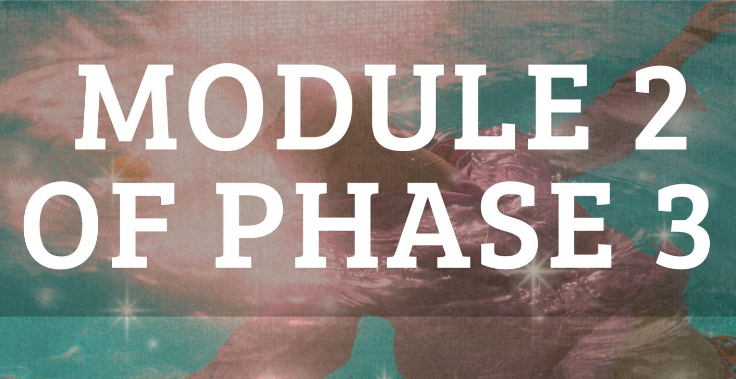 Module 2 of Phase 3