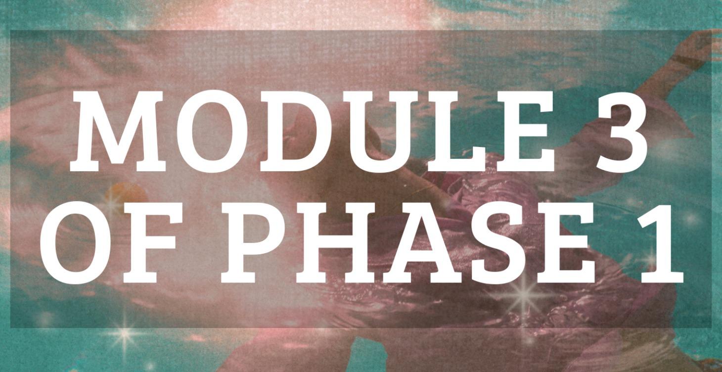 Module 3 of Phase 1