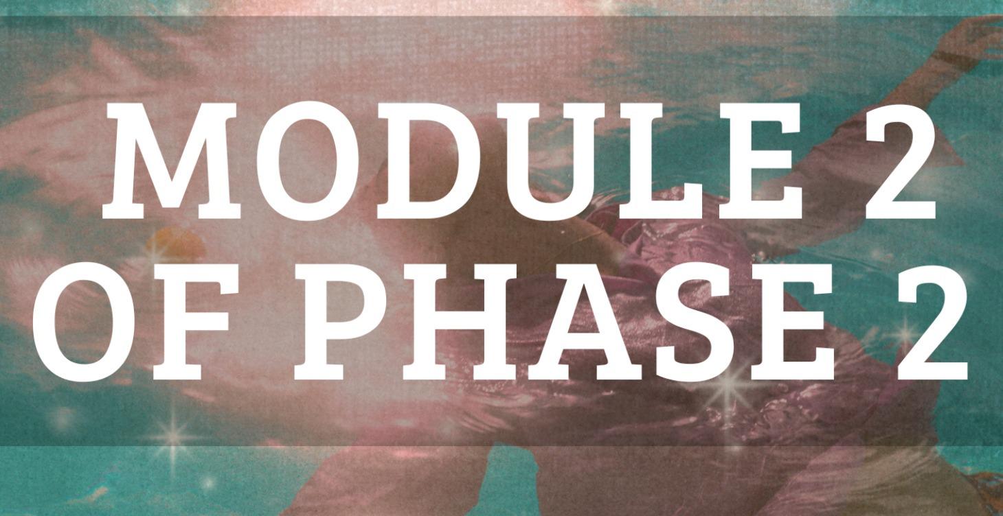 Module 2 of Phase 2