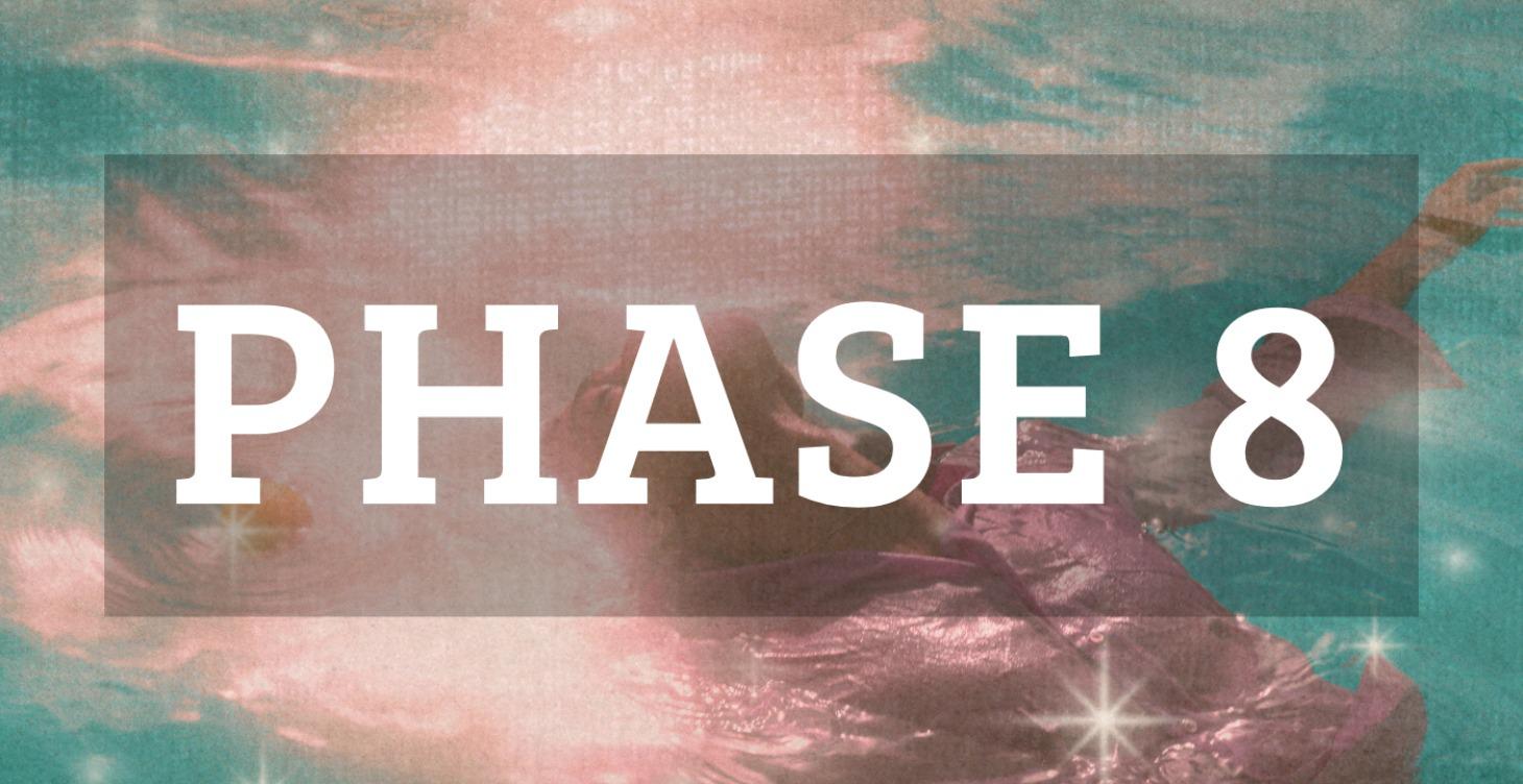 PHASE 8 · PAID TRAFFIC & LAUNCH SUPPORT