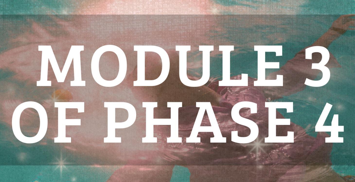 MODULE 3 OF PHASE 4