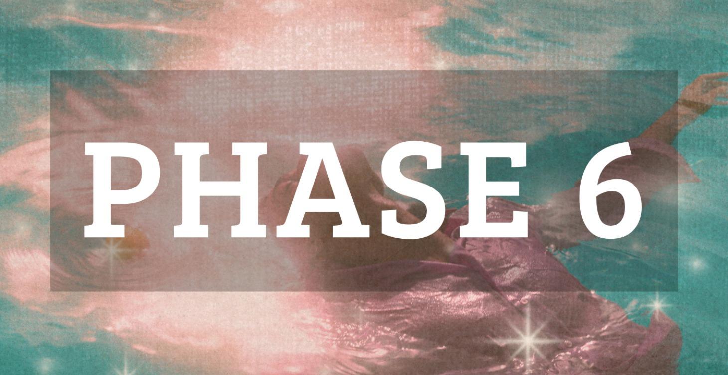 PHASE 6 · SYSTEMS, SCALE & PROTECTION