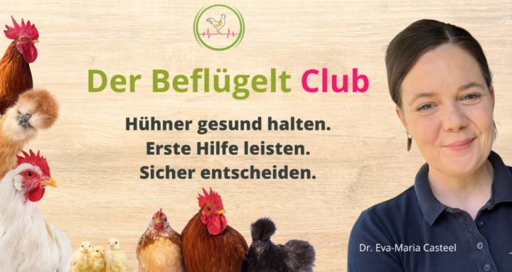 Beflügelt Club