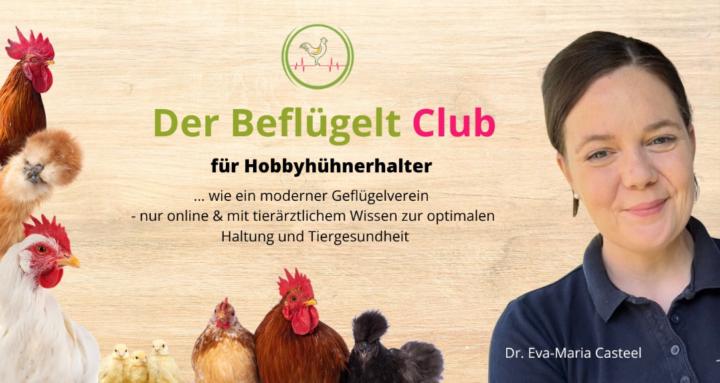 Beflügelt Club