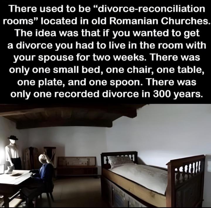 So wild!! Should we bring this back?