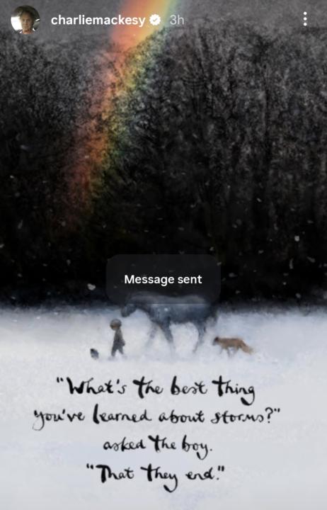 Charlie Mackesy Painting ❤️✨️