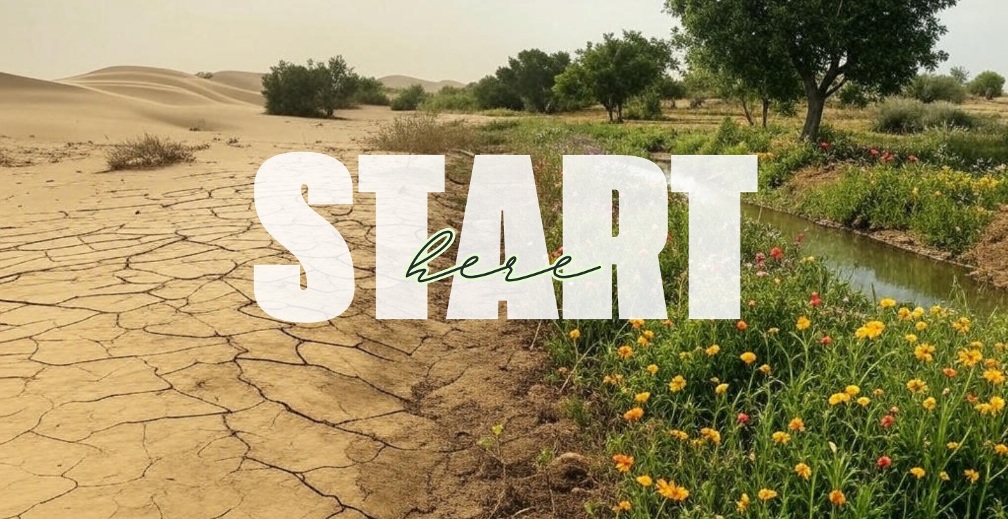 START HERE