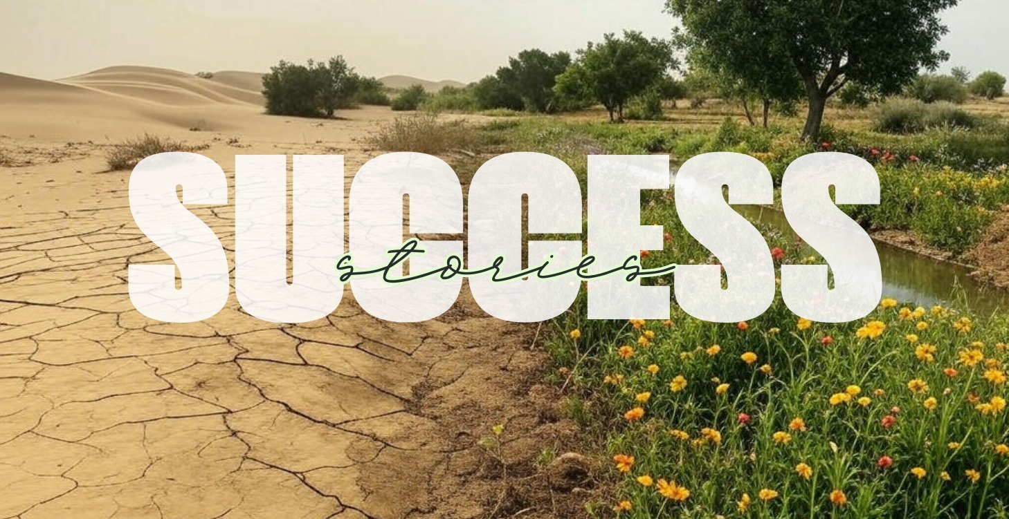 SUCCESS STORIES