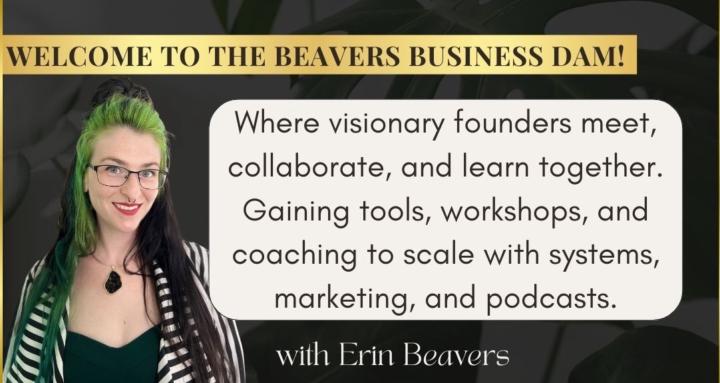 The Beavers Business Dam
