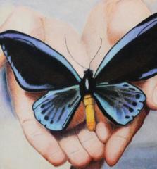 Kathie Collinson