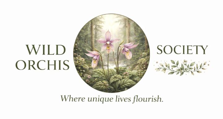 Wild Orchis Society