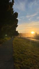 Maria Torrijos Orlandi