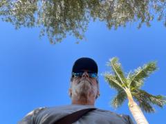 De magalhaes Norbert