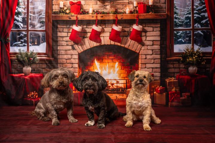 Christmas is only 14 weeks away!!