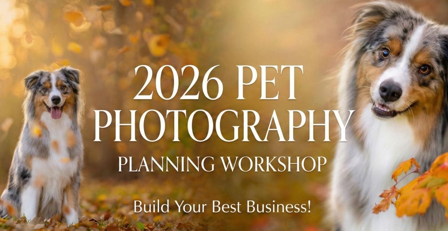 The Pet Photographer’s 2026 Planning Workshop
