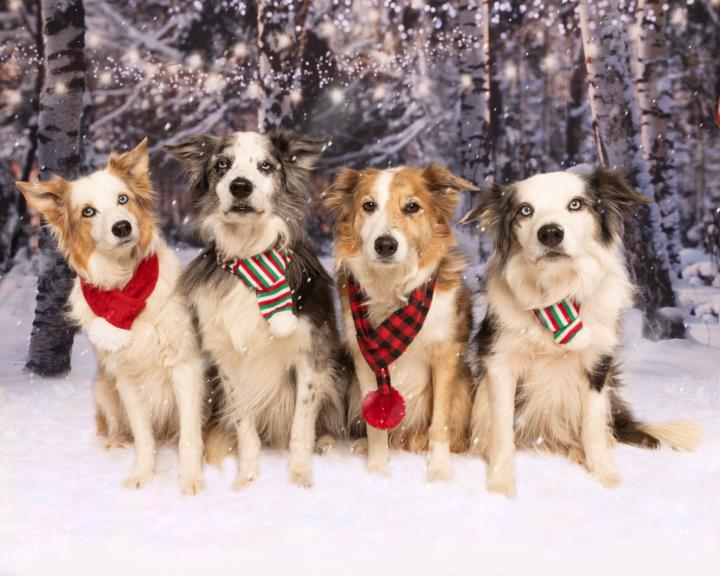 Hey there from Oklahoma!