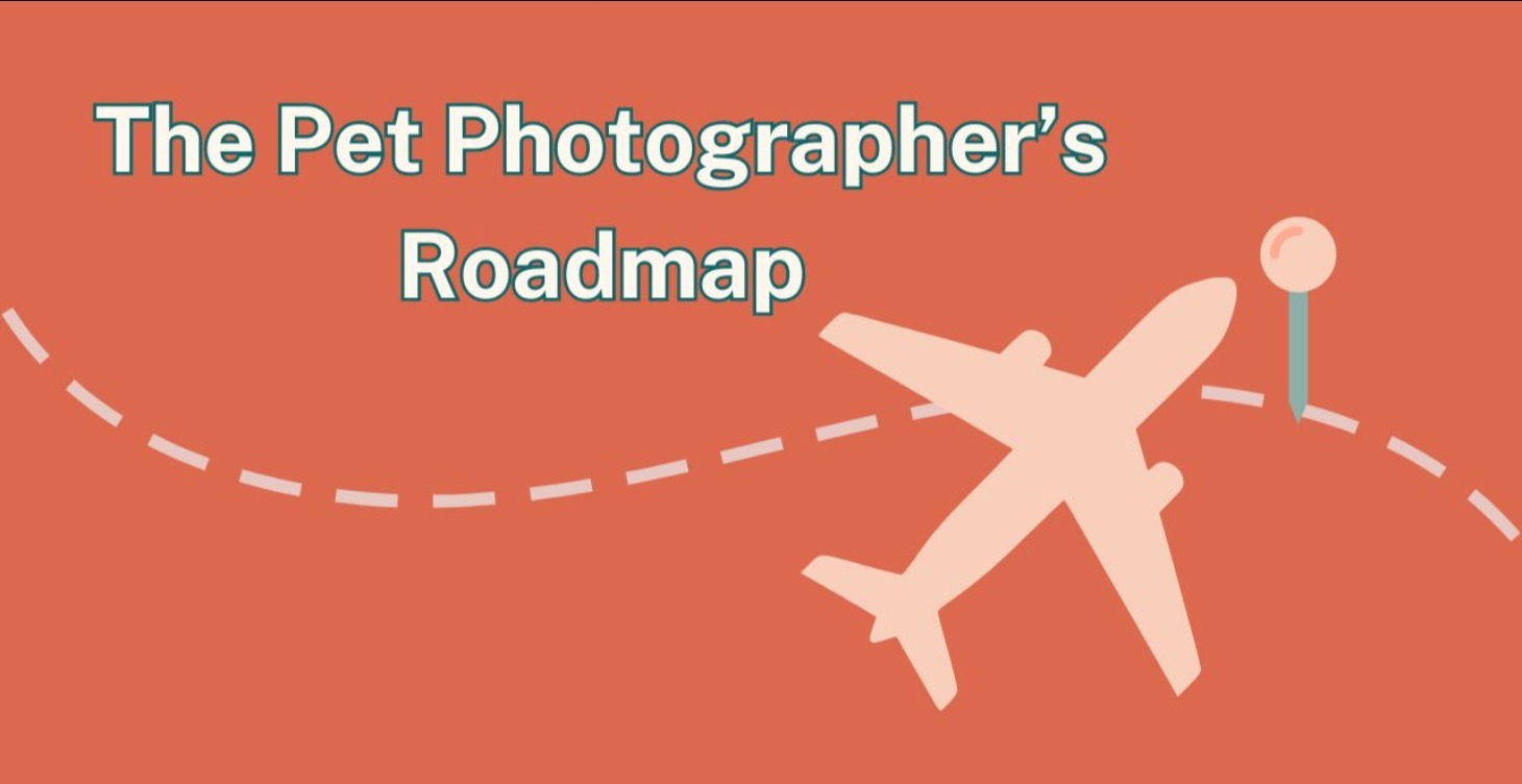 Step 2: The Pet Photographer’s Roadmap
