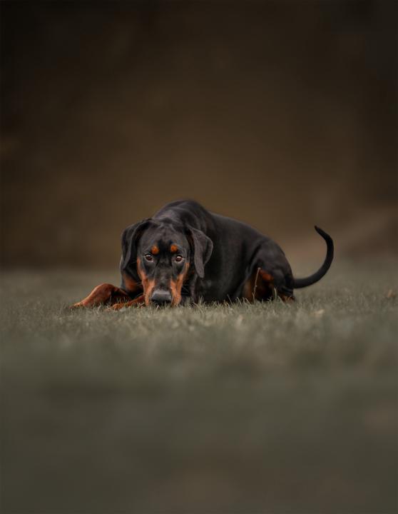 Editing and composition help pleaseeee! 