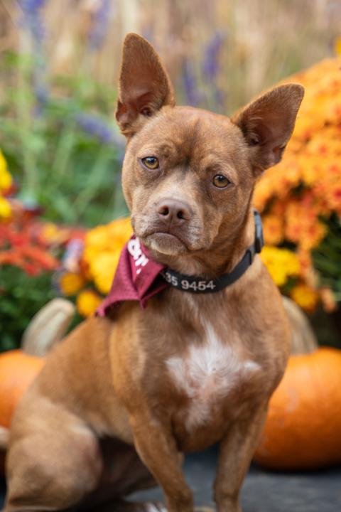 Customer Service Question