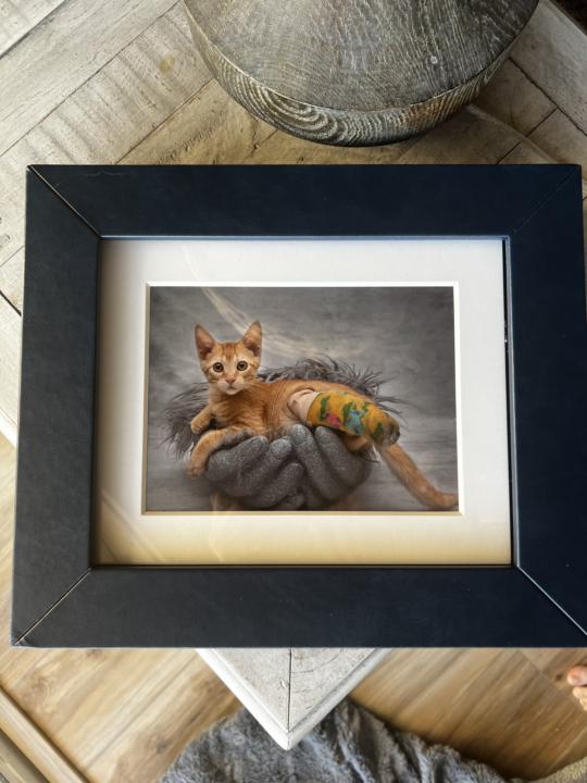 New option for folio box. 