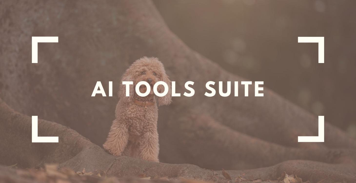 AI Tools Suite