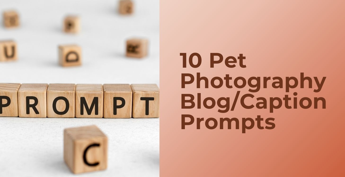 10 Pet Photography Blog/Caption Prompts