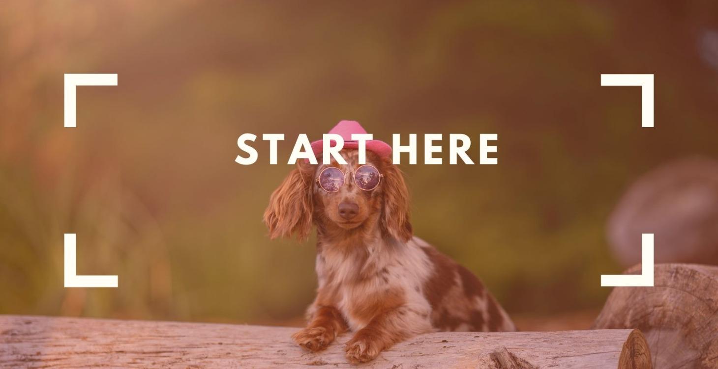 Step 1: Welcome & Start Here for Onboarding