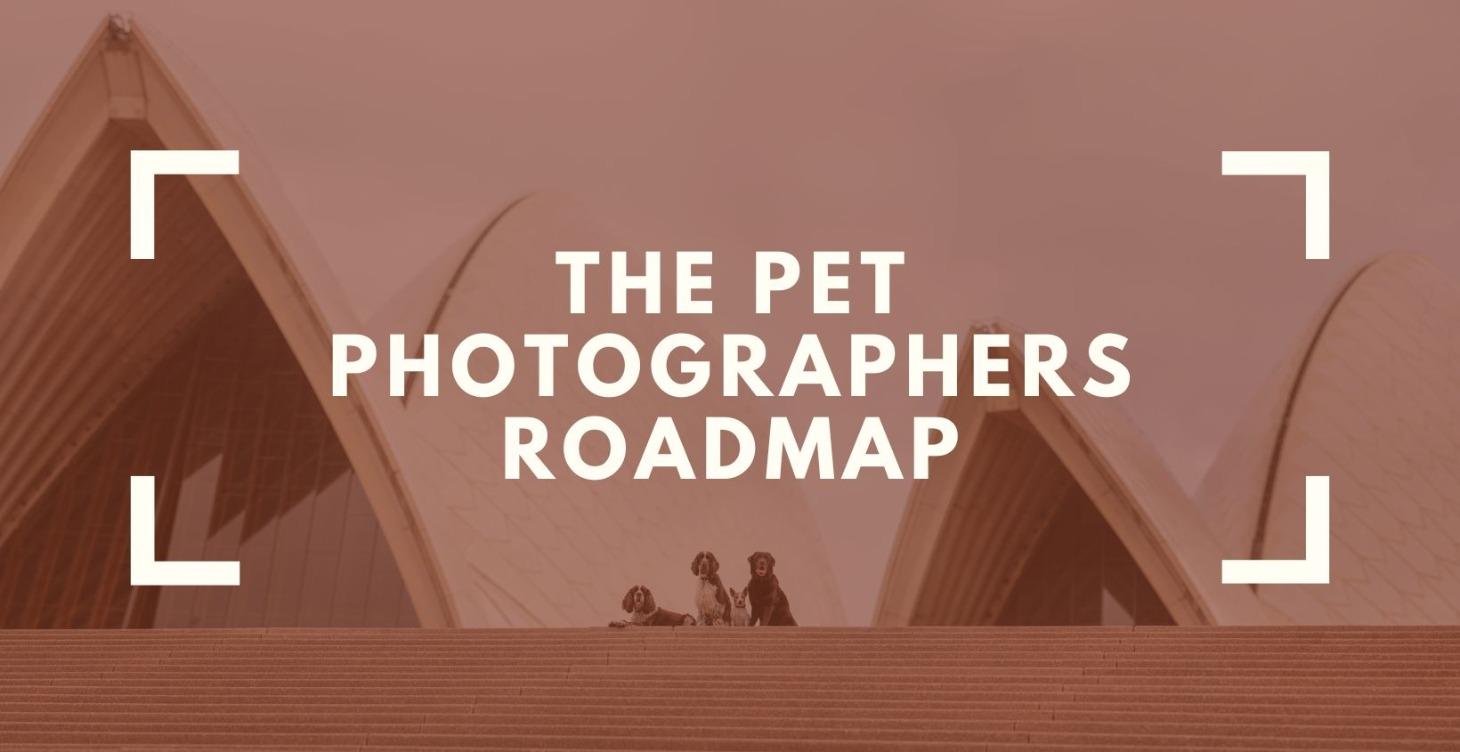 Step 2: The Pet Photographer’s Roadmap