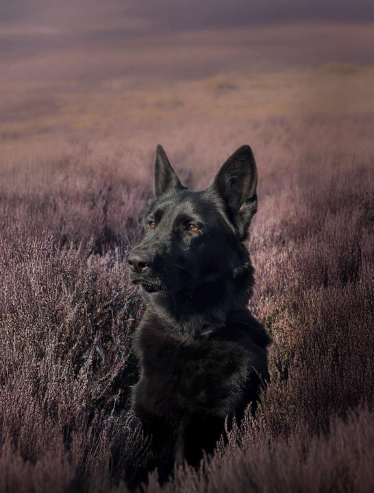 Hey everyone! I’m Paula. 