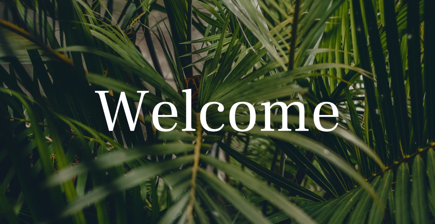 Get Started Here!