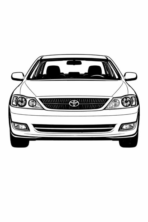 مؤمل المحمد صالح