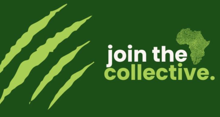 Wild+Well Natural Living Club