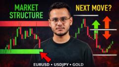 Fx Signals