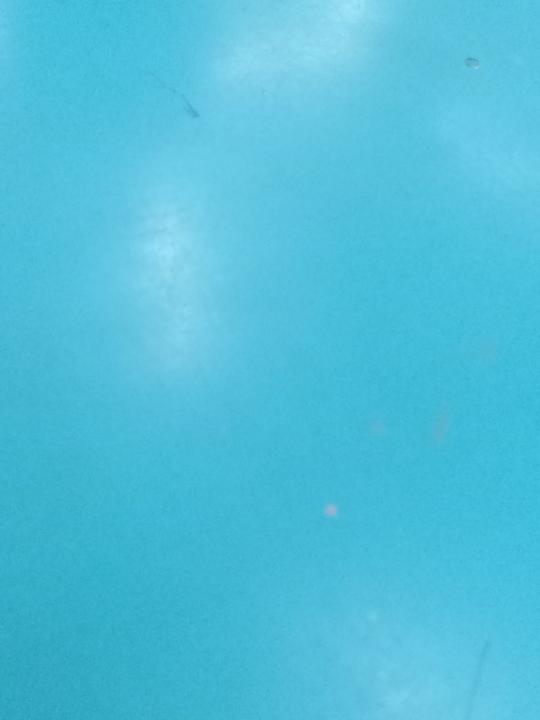 Bùi Ngọc Phương Vy