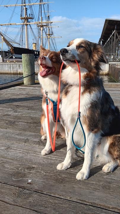 Nicole Lichtenberger