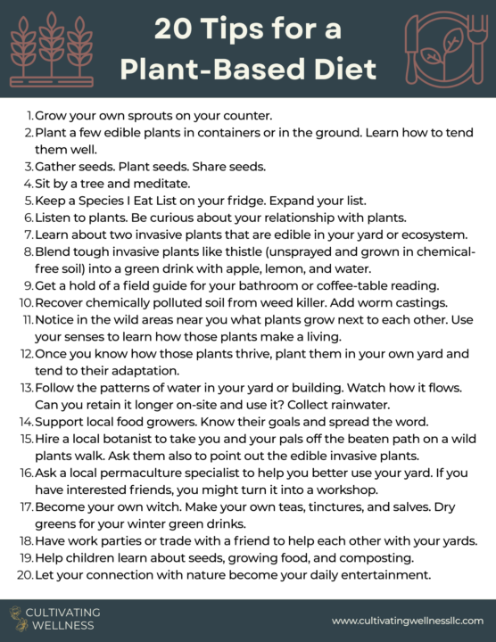 Habit 5- Plant Based Diet