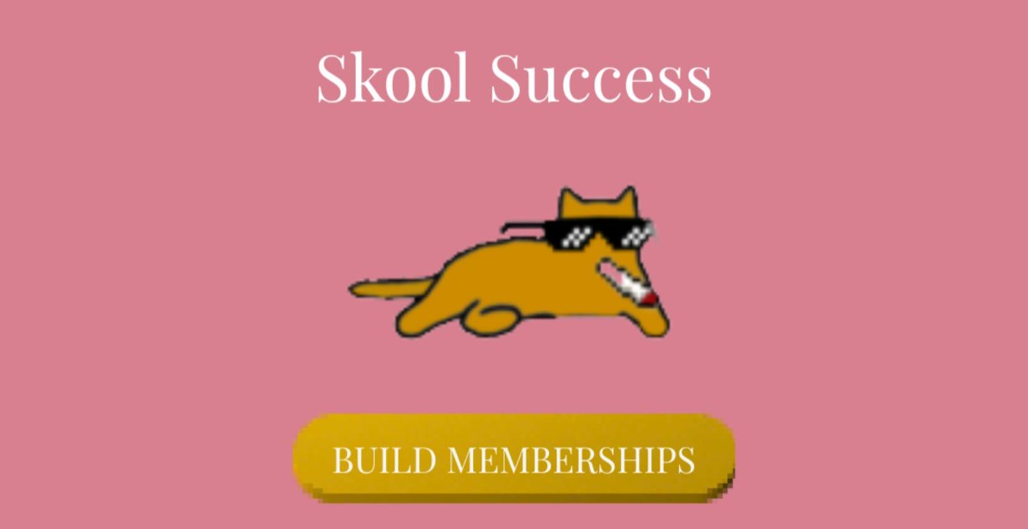 Skool Success Accelerator