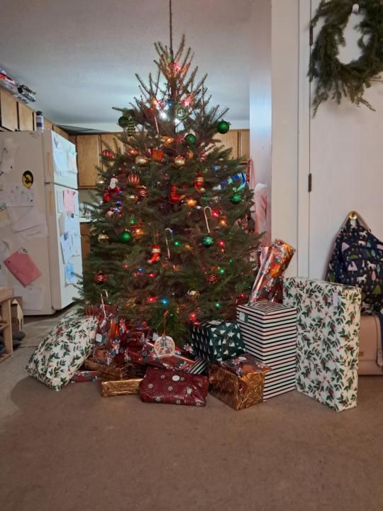 🎄 Show us your tree!