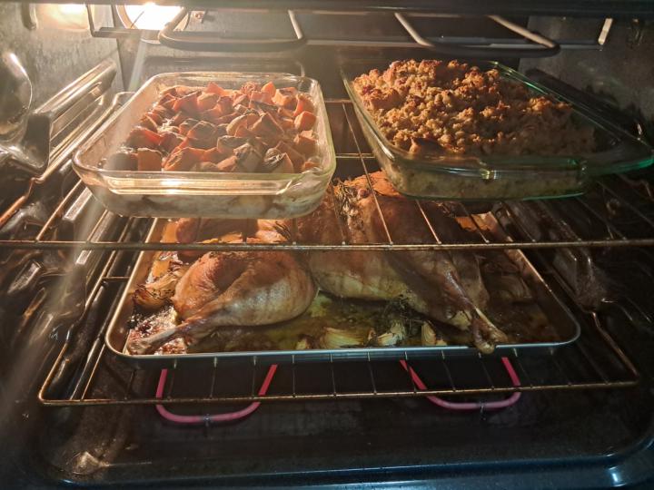 🦃 Happy Thanksgiving!