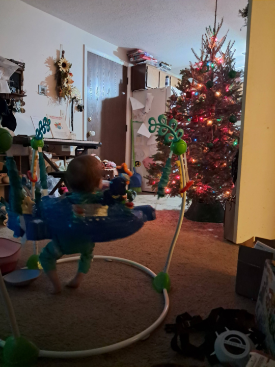 🎄 Merry Christmas!