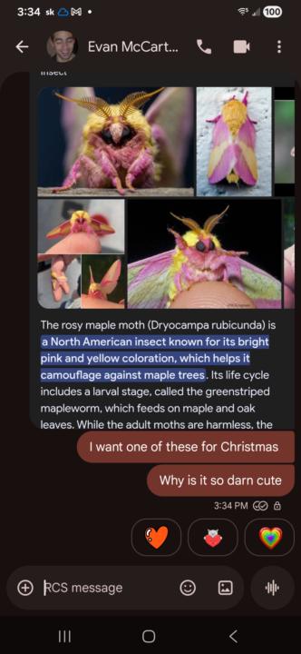 Ive found my spirit animal (and group mascot)