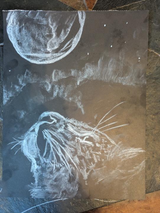 Today was a win 🎉 💪