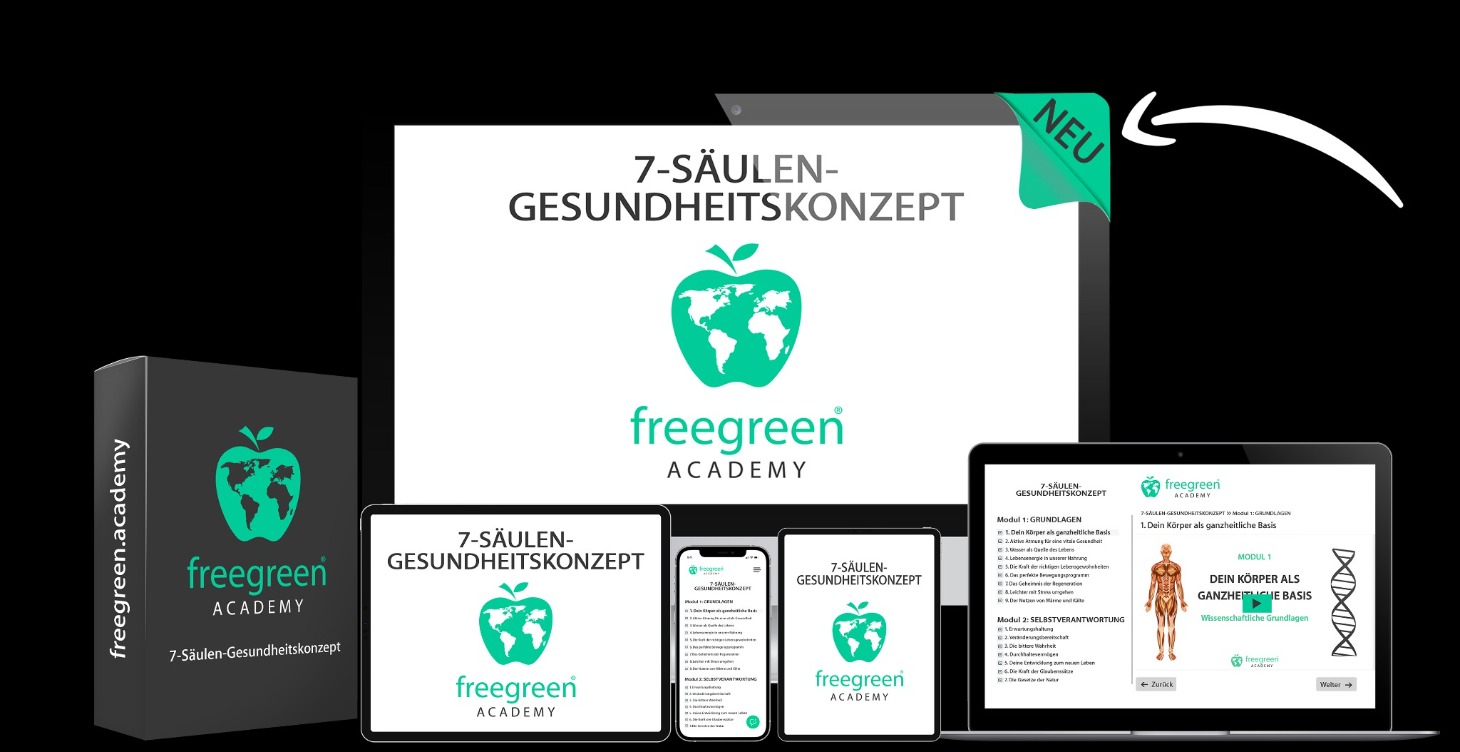 7-Säulen-Gesundheitskonzept