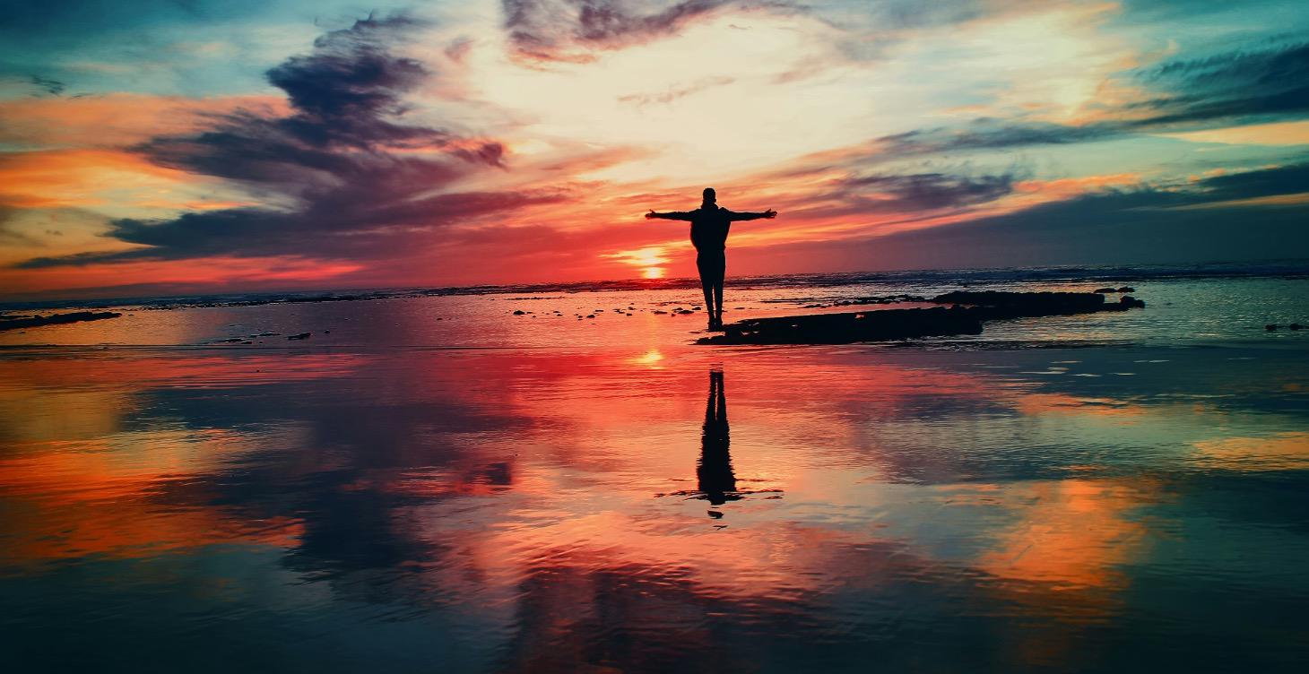 Holy Whole: A 1:1 Devotional Journey