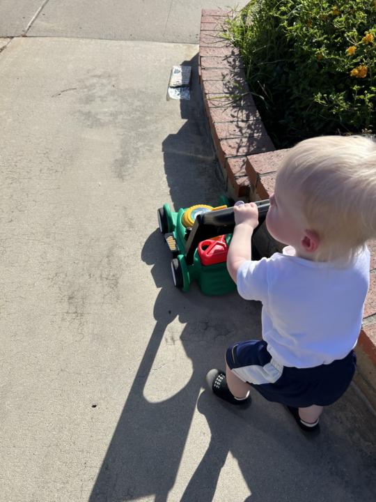 Morning yard work 